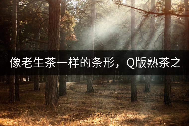 像老生茶一樣的條形，Q版熟茶之【融璞】