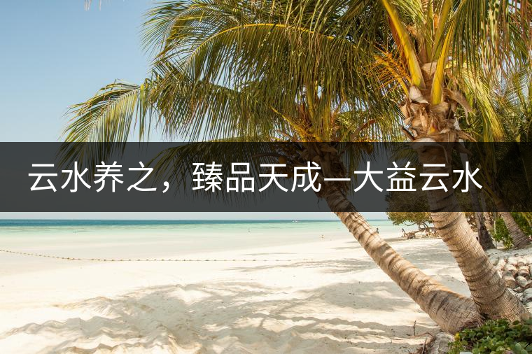 云水養(yǎng)之，臻品天成—大益云水臻開湯