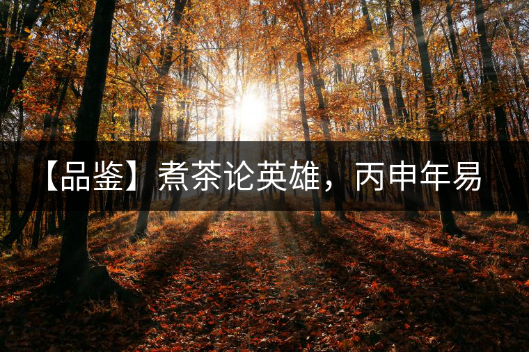 【品鑒】煮茶論英雄，丙申年易武麻黑