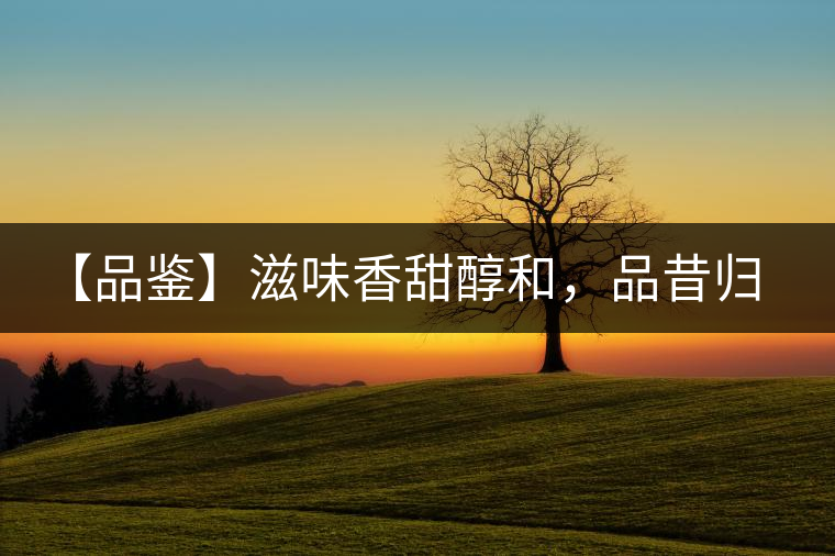 【品鑒】滋味香甜醇和，品昔歸古樹黃片