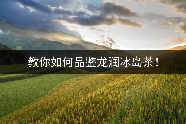 教你如何品鑒龍潤冰島茶！