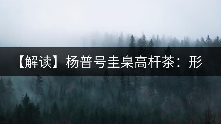 【解讀】楊普號圭臬高桿茶：形高、氣足、韻遠的一款茶