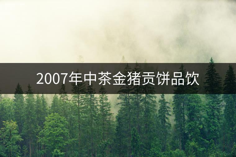 2007年中茶金豬貢餅品飲