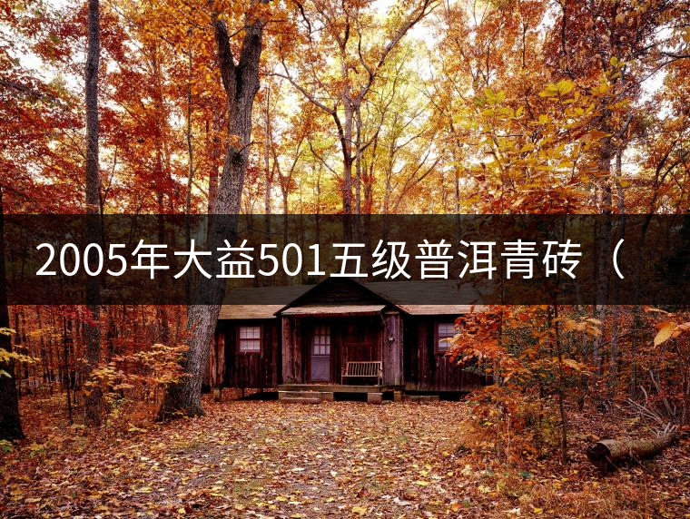 2005年大益501五級普洱青磚（250克）開湯品鑒