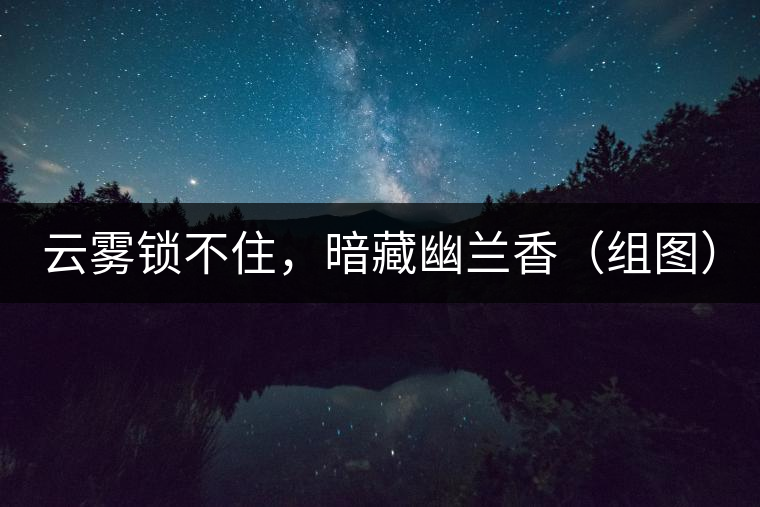 云霧鎖不住，暗藏幽蘭香（組圖）