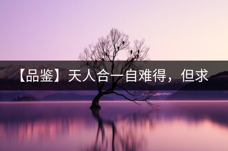 【品鑒】天人合一自難得，但求得茶之本味