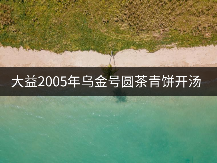 大益2005年烏金號(hào)圓茶青餅開湯品鑒