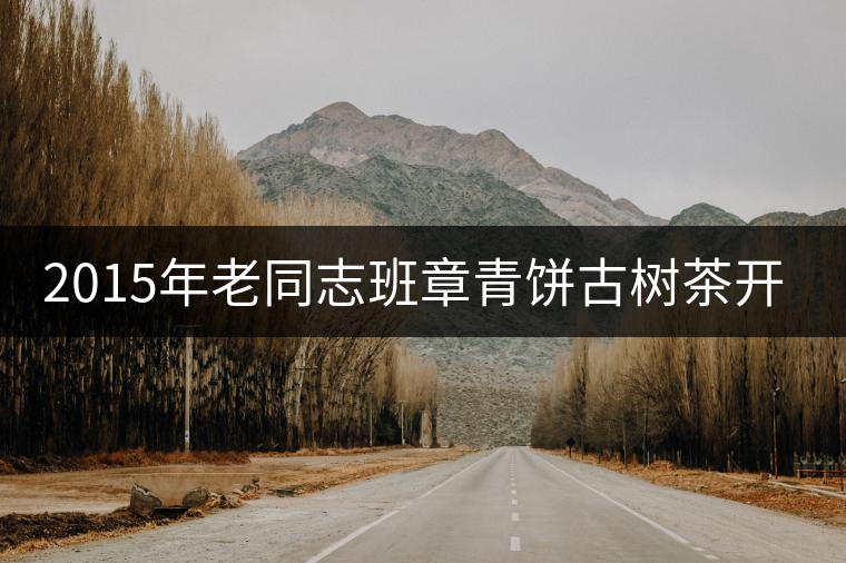 2015年老同志班章青餅古樹茶開湯