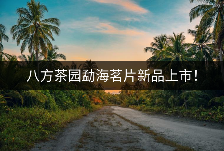 八方茶園勐海茗片新品上市！