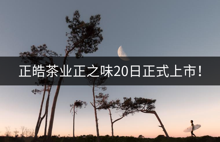 正皓茶業(yè)正之味20日正式上市！