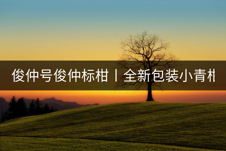 俊仲號俊仲標(biāo)柑丨全新包裝小青柑震撼上市！