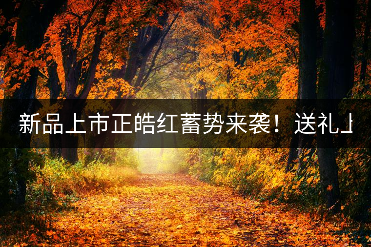 新品上市正皓紅蓄勢來襲！送禮上上之選！