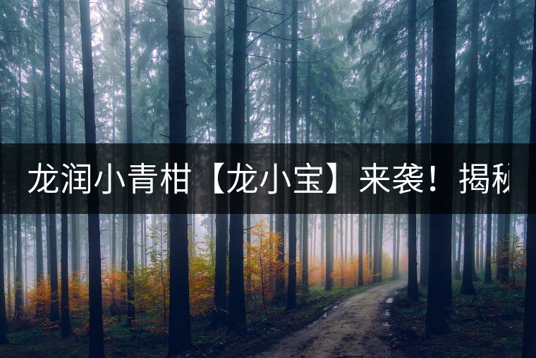 龍潤小青柑【龍小寶】來襲！揭秘它的前半生！