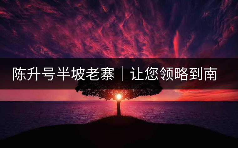 陳升號(hào)半坡老寨｜讓您領(lǐng)略到南糯山大樹茶口感的地道！