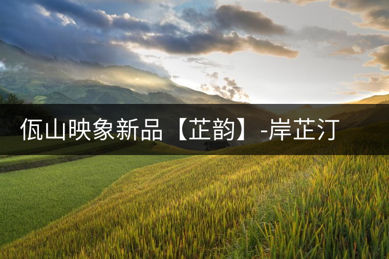 佤山映象新品【芷韻】-岸芷汀蘭，出一杯甘厚普洱