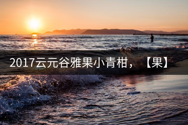 2017云元谷雅果小青柑，【果】真來(lái)了