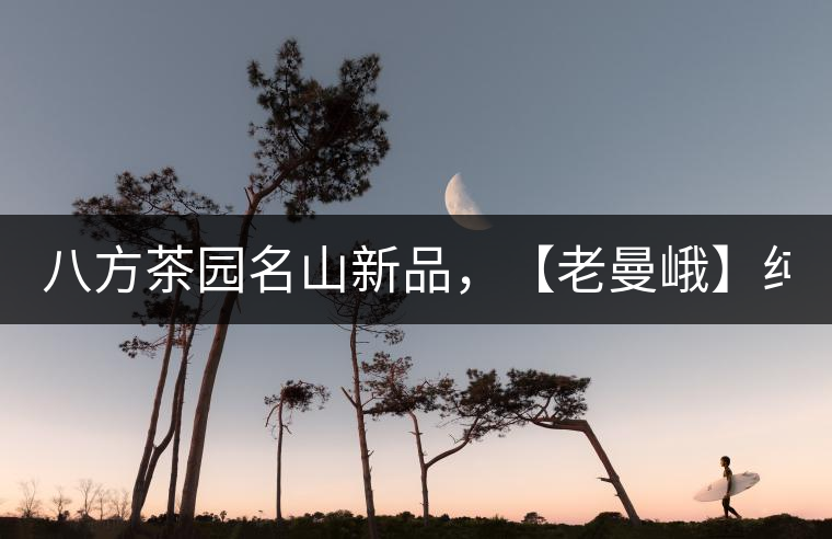 八方茶園名山新品，【老曼峨】純料來襲！