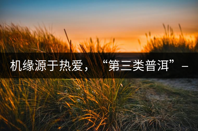 機(jī)緣源于熱愛(ài)，“第三類(lèi)普洱”——“散壓茶TM”的誕生。