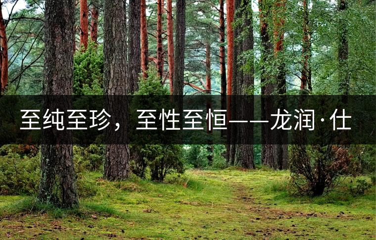 至純至珍，至性至恒——龍潤·仕通茶新上市！