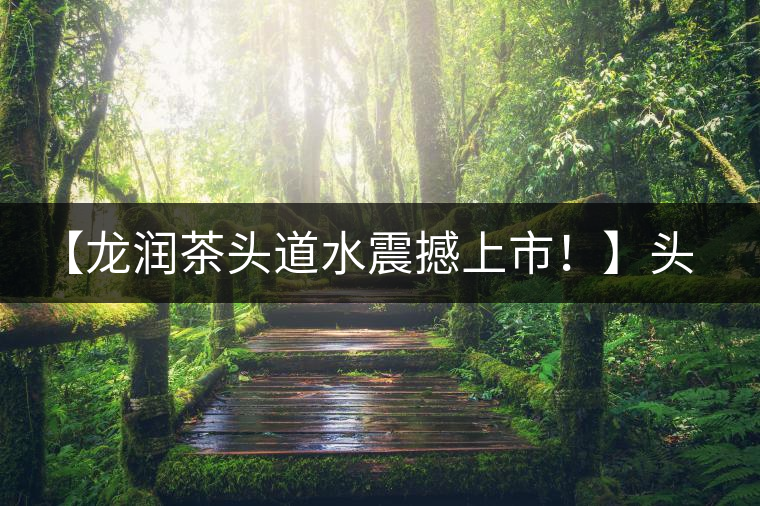 【龍潤茶頭道水震撼上市！】頭道水，二道茶，三道四道是精華！