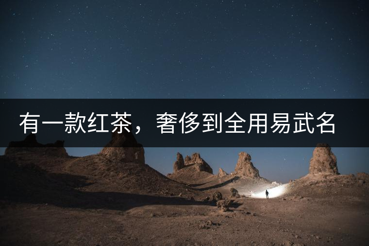 有一款紅茶，奢侈到全用易武名寨古樹茶發(fā)酵！