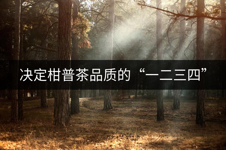 決定柑普茶品質的“一二三四”