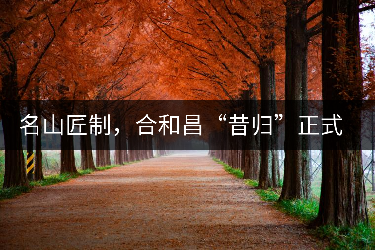 名山匠制，合和昌“昔歸”正式上市