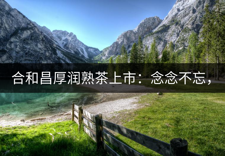 合和昌厚潤熟茶上市：念念不忘，必有回響！