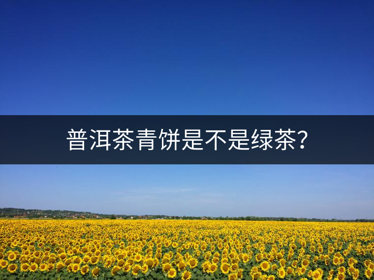 普洱茶青餅是不是綠茶？