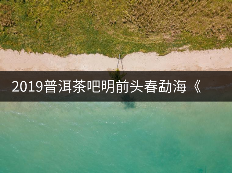 2019普洱茶吧明前頭春勐?！对鹿獍住钒撞鑳?yōu)惠訂購(gòu)