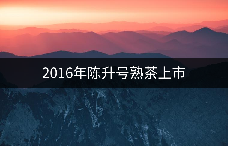 2016年陳升號(hào)熟茶上市 2016年陳升號(hào)熟茶上市