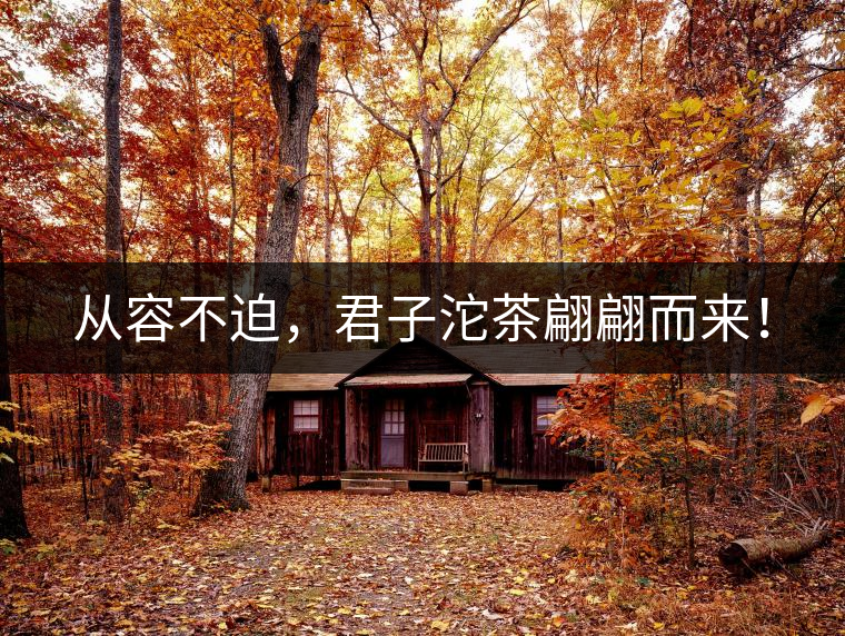 從容不迫，君子沱茶翩翩而來！