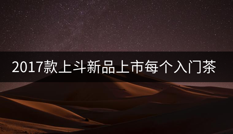 2017款上斗新品上市每個入門茶人都欠自己一餅上斗！