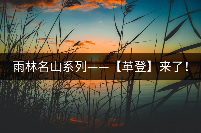 雨林名山系列——【革登】來(lái)了！