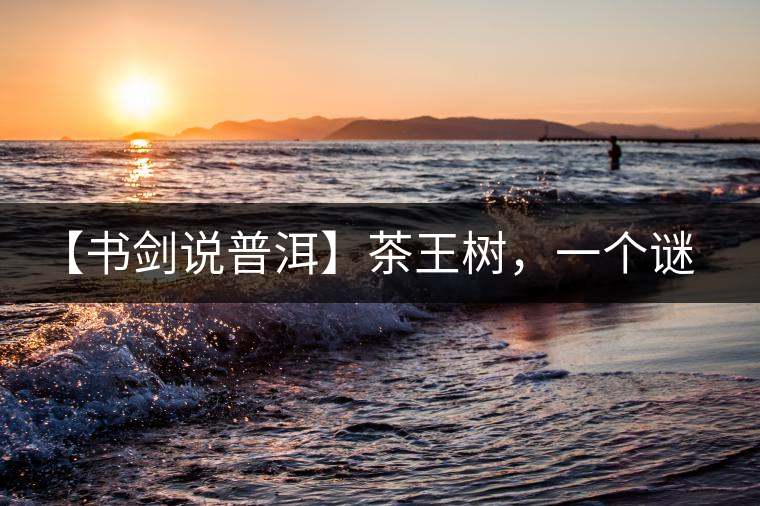 【書劍說普洱】茶王樹，一個(gè)謎一樣的地方