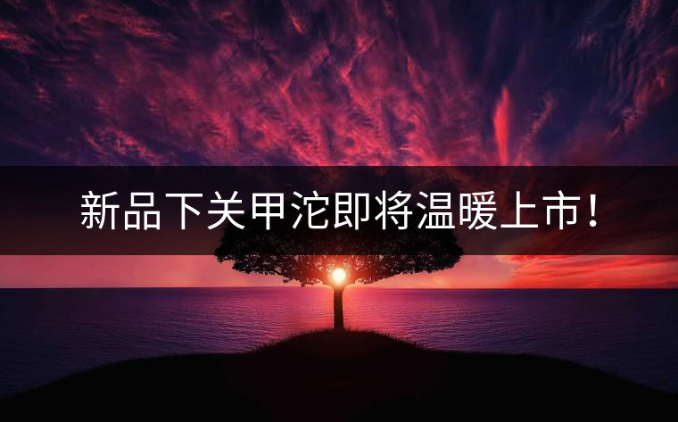 新品下關(guān)甲沱即將溫暖上市！