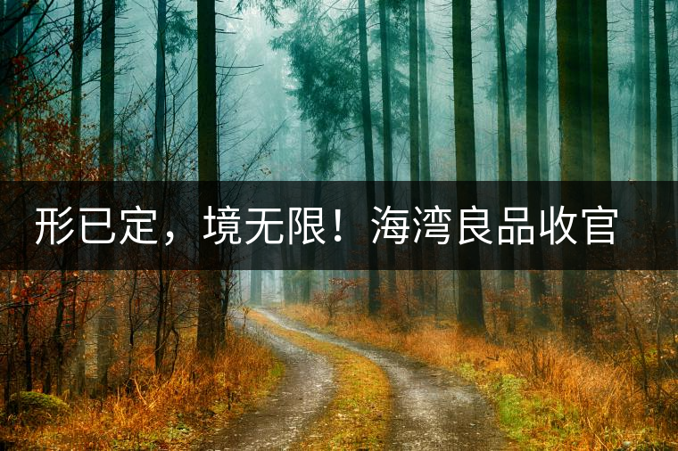 形已定，境無限！海灣良品收官季『良禪品』