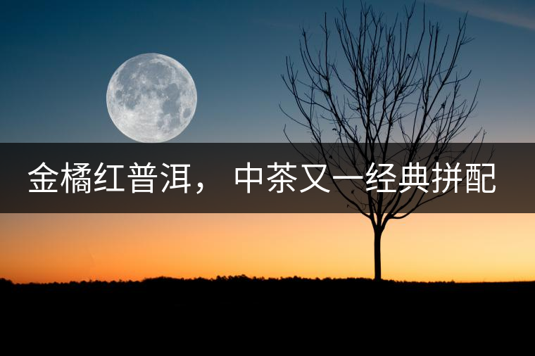 金橘紅普洱， 中茶又一經(jīng)典拼配力作，值得期待！