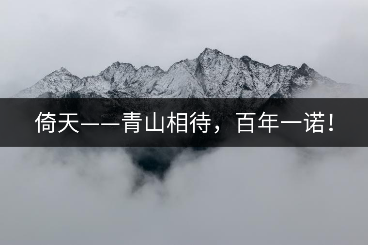 倚天——青山相待，百年一諾！