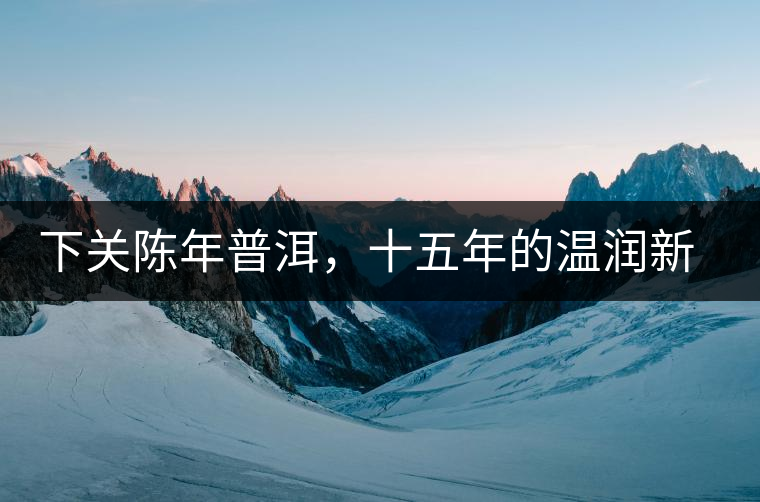 下關(guān)陳年普洱，十五年的溫潤新生