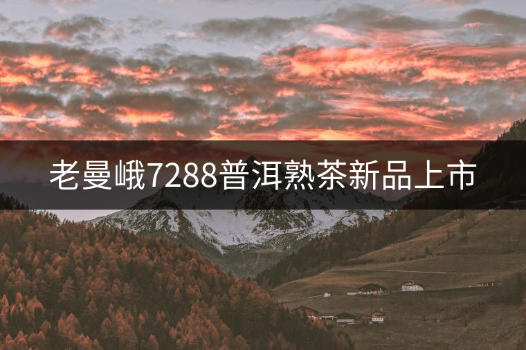老曼峨7288普洱熟茶新品上市