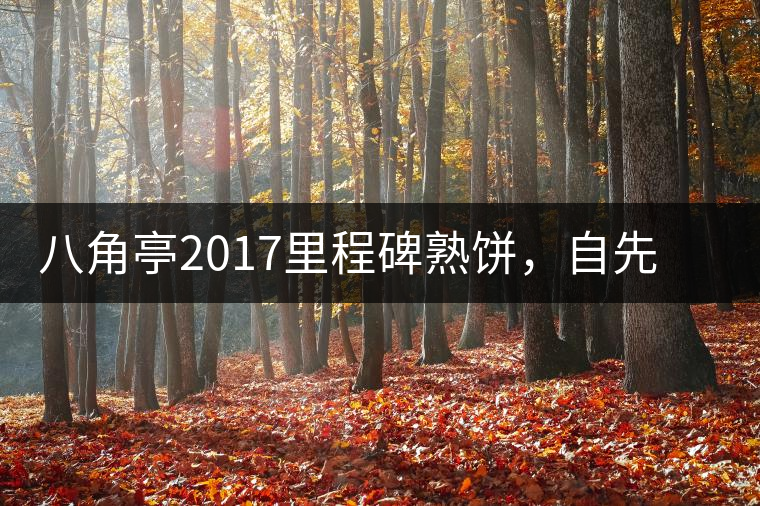 八角亭2017里程碑熟餅，自先發(fā)酵而后愛(ài)人