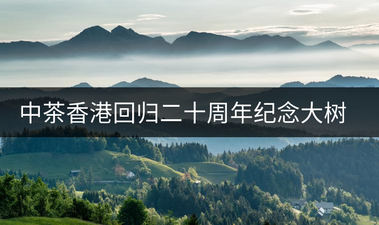 中茶香港回歸二十周年紀(jì)念大樹普洱茶上市