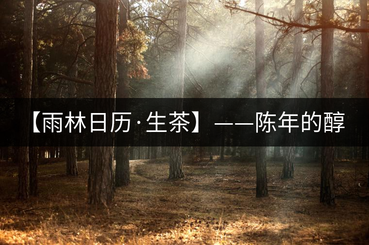 【雨林日歷·生茶】——陳年的醇，老料的香！