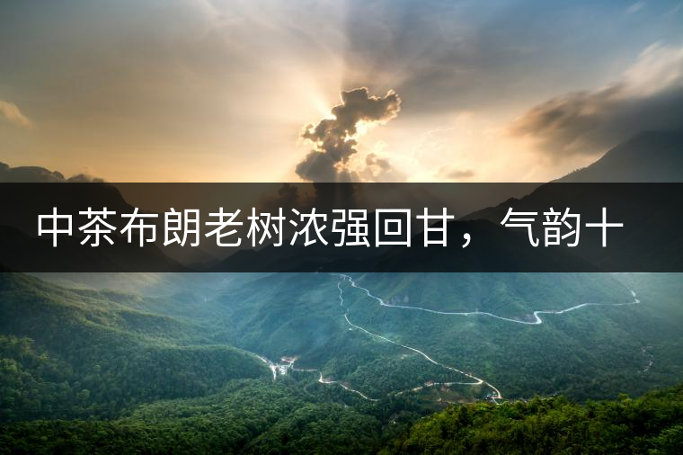 中茶布朗老樹濃強回甘，氣韻十足