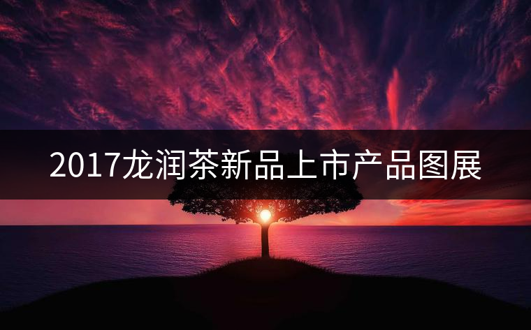 2017龍潤(rùn)茶新品上市產(chǎn)品圖展 2017龍潤(rùn)茶新品上市產(chǎn)品圖展