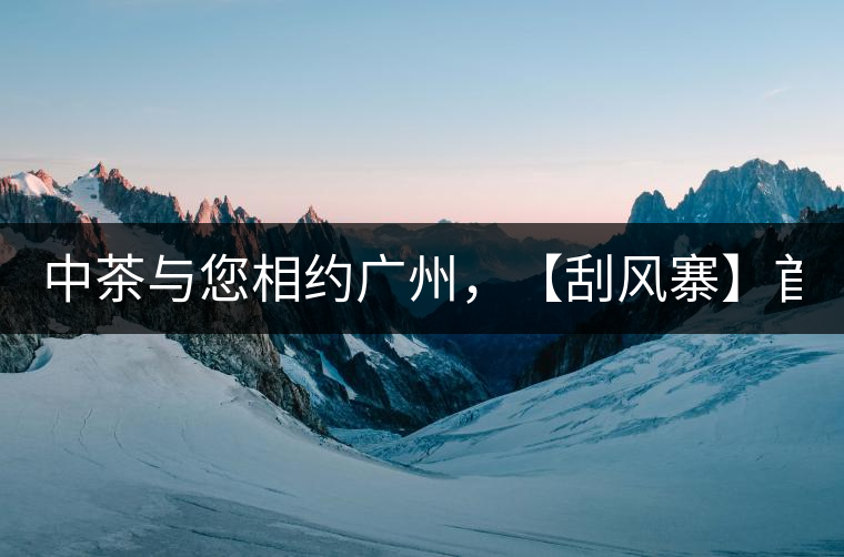 中茶與您相約廣州，【刮風(fēng)寨】首次亮相！