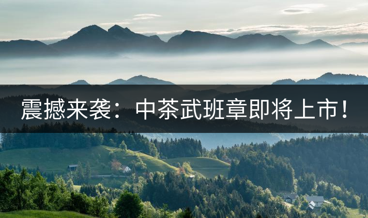 震撼來襲：中茶武班章即將上市！