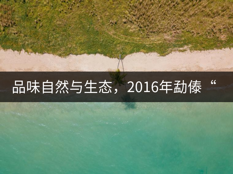 品味自然與生態(tài)，2016年勐傣“大雪山古樹茶”