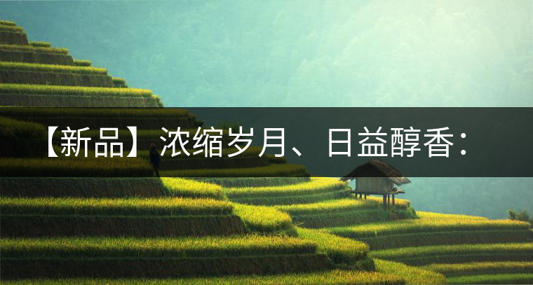 【新品】濃縮歲月、日益醇香：陳臻號(hào)陳品熟餅即將上市！